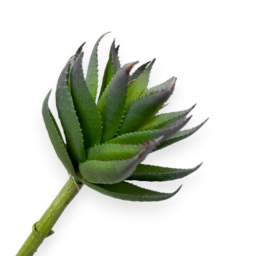 ALOE PICK 9"