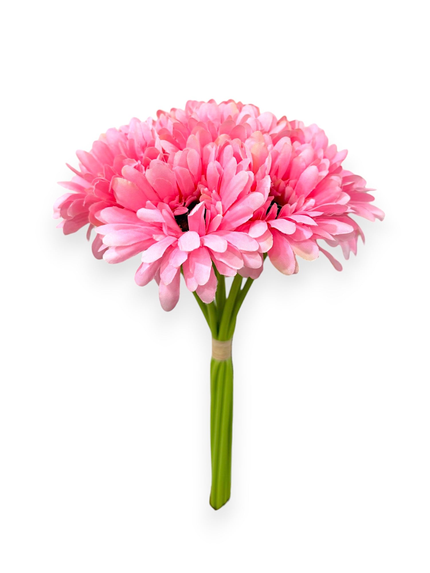 GERBERA DAISY BUNDLE X9 12"