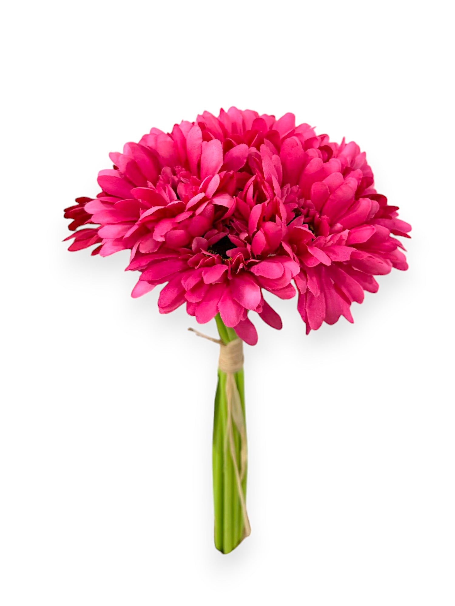 GERBERA DAISY BUNDLE X9 12"