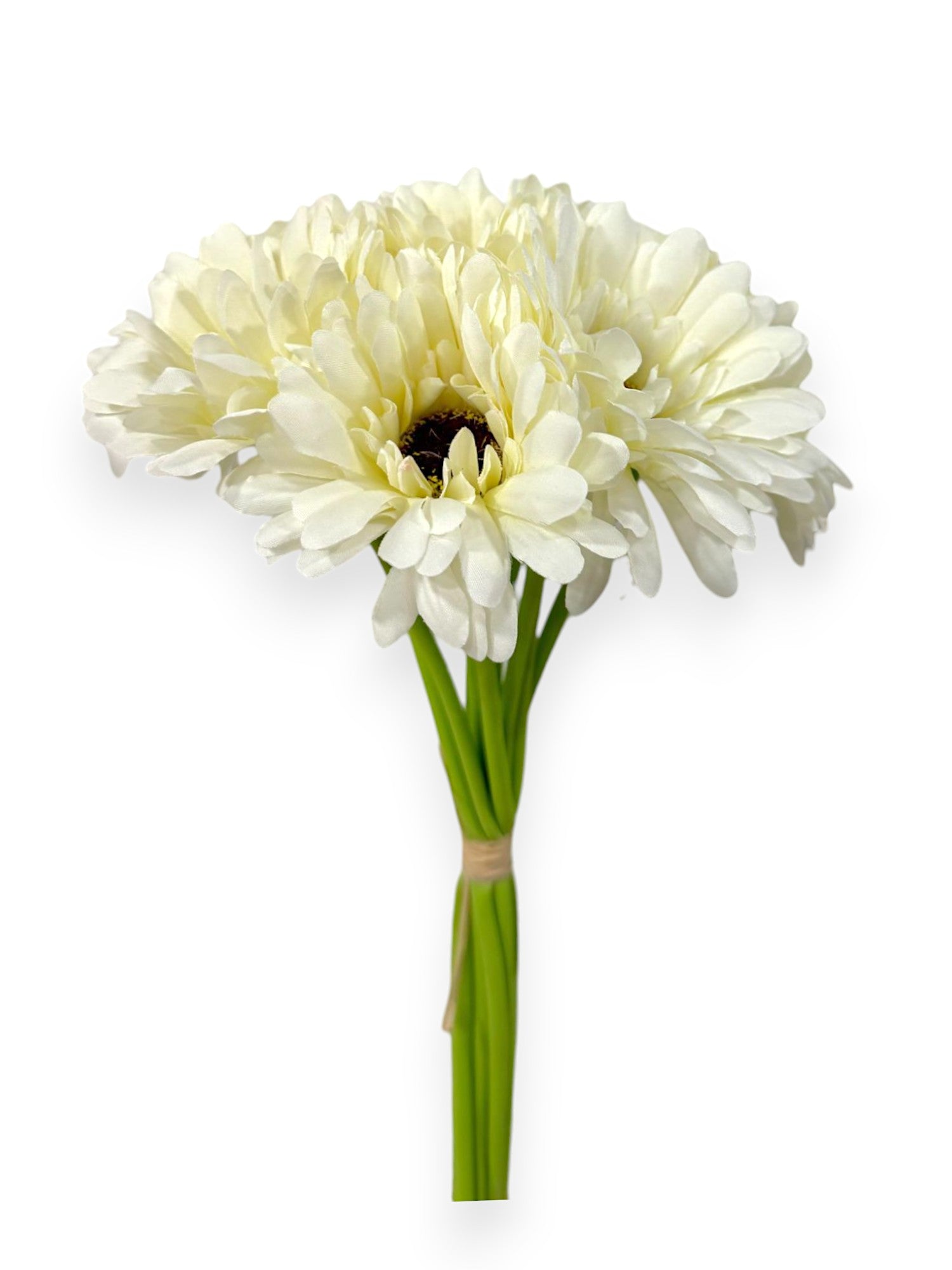 GERBERA DAISY BUNDLE X9 12"