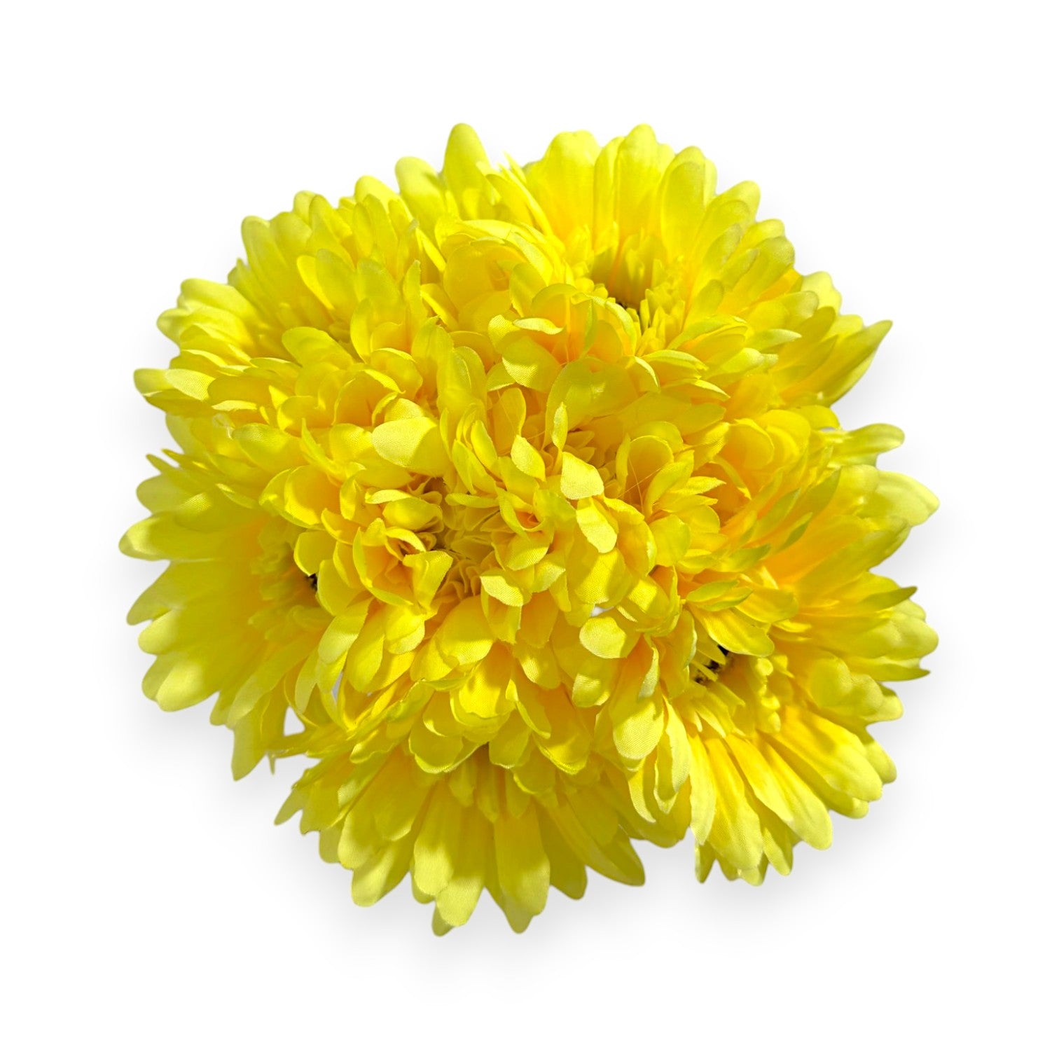 GERBERA DAISY BUNDLE X9 12"