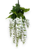 HNG WISTERIA X14 30"
