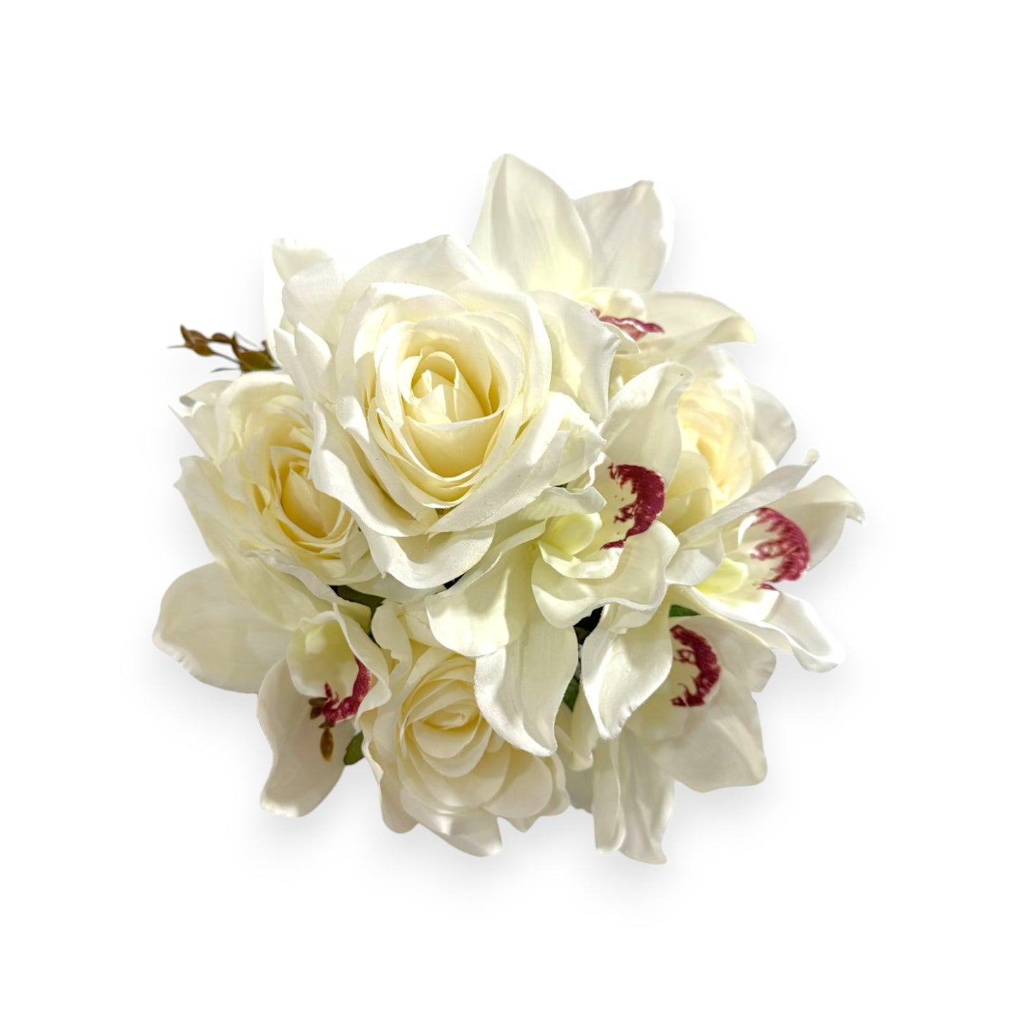 ROSE & CYMBIDIUM BUSH X10