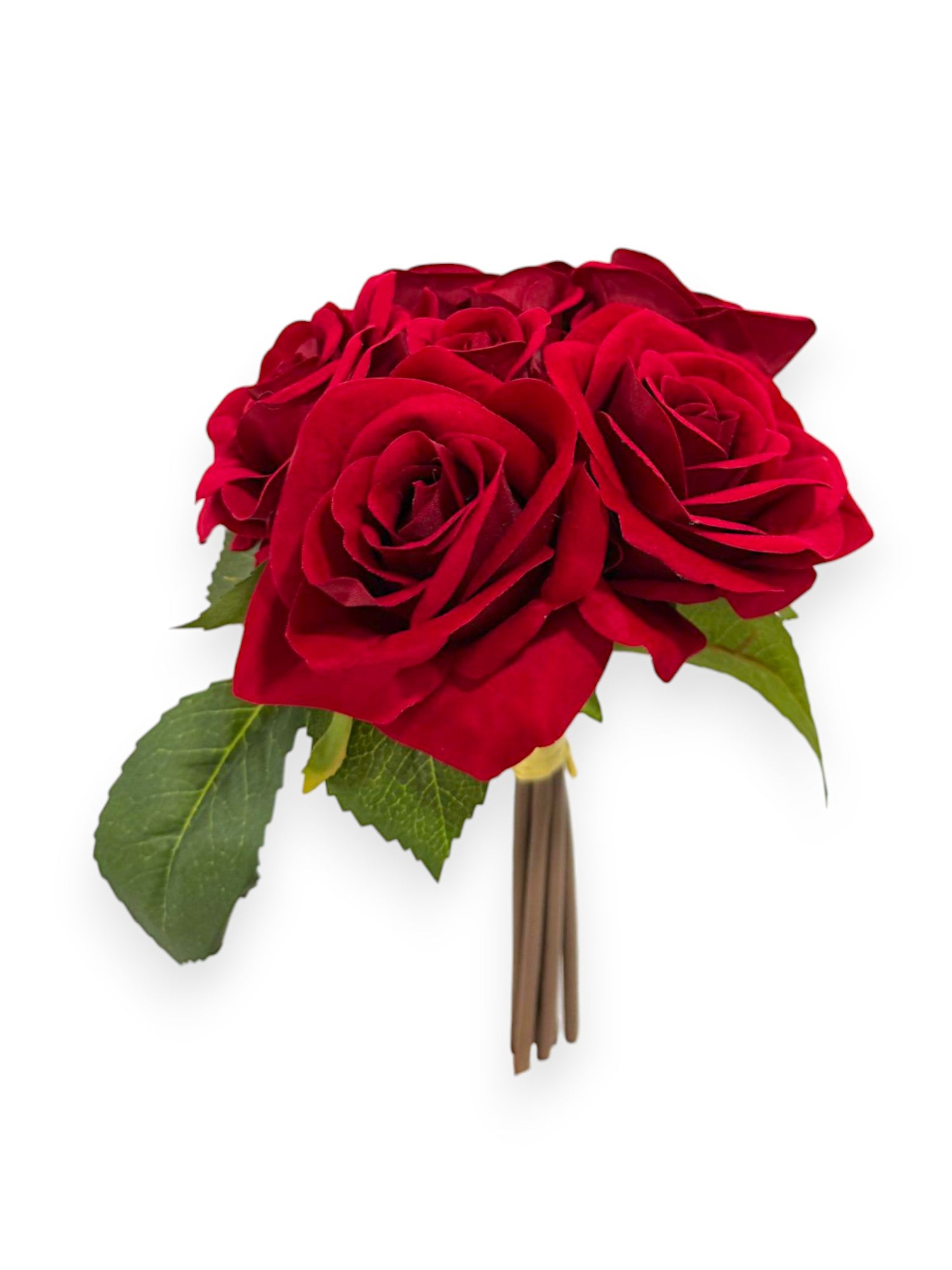 VELVET ROSE BUNDLE X7