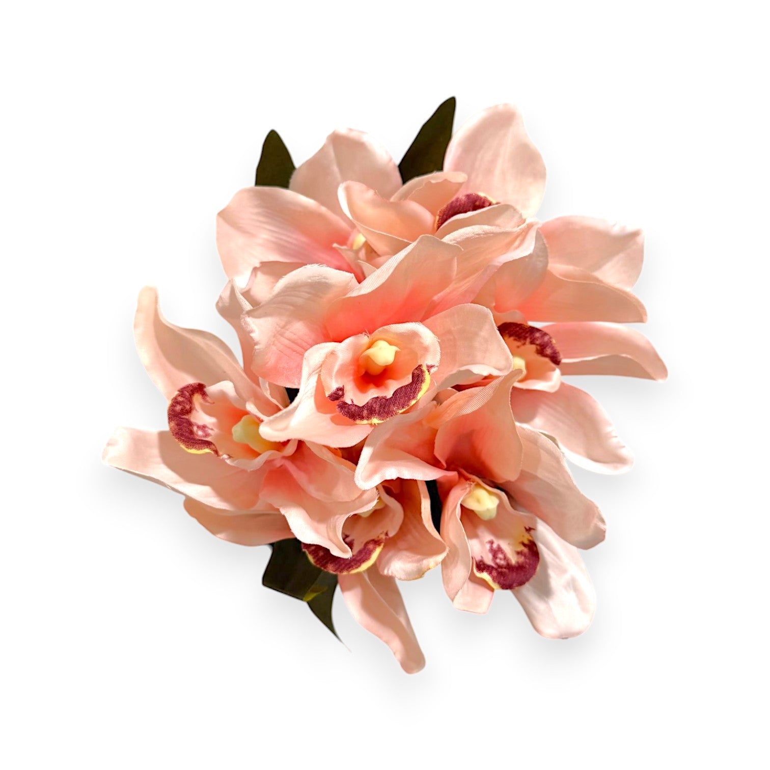 CYMBIDIUM BUSH X7