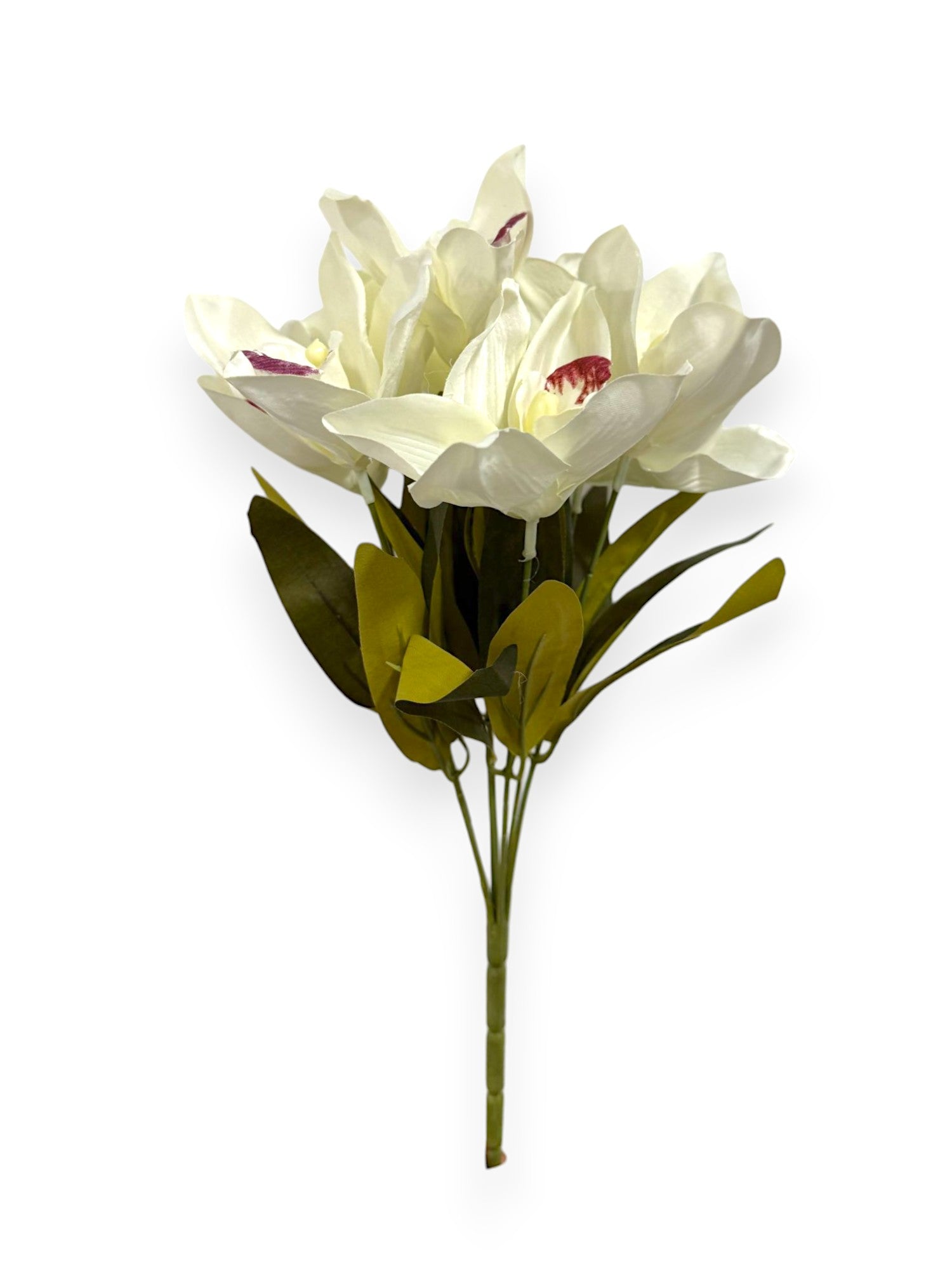 CYMBIDIUM BUSH X7