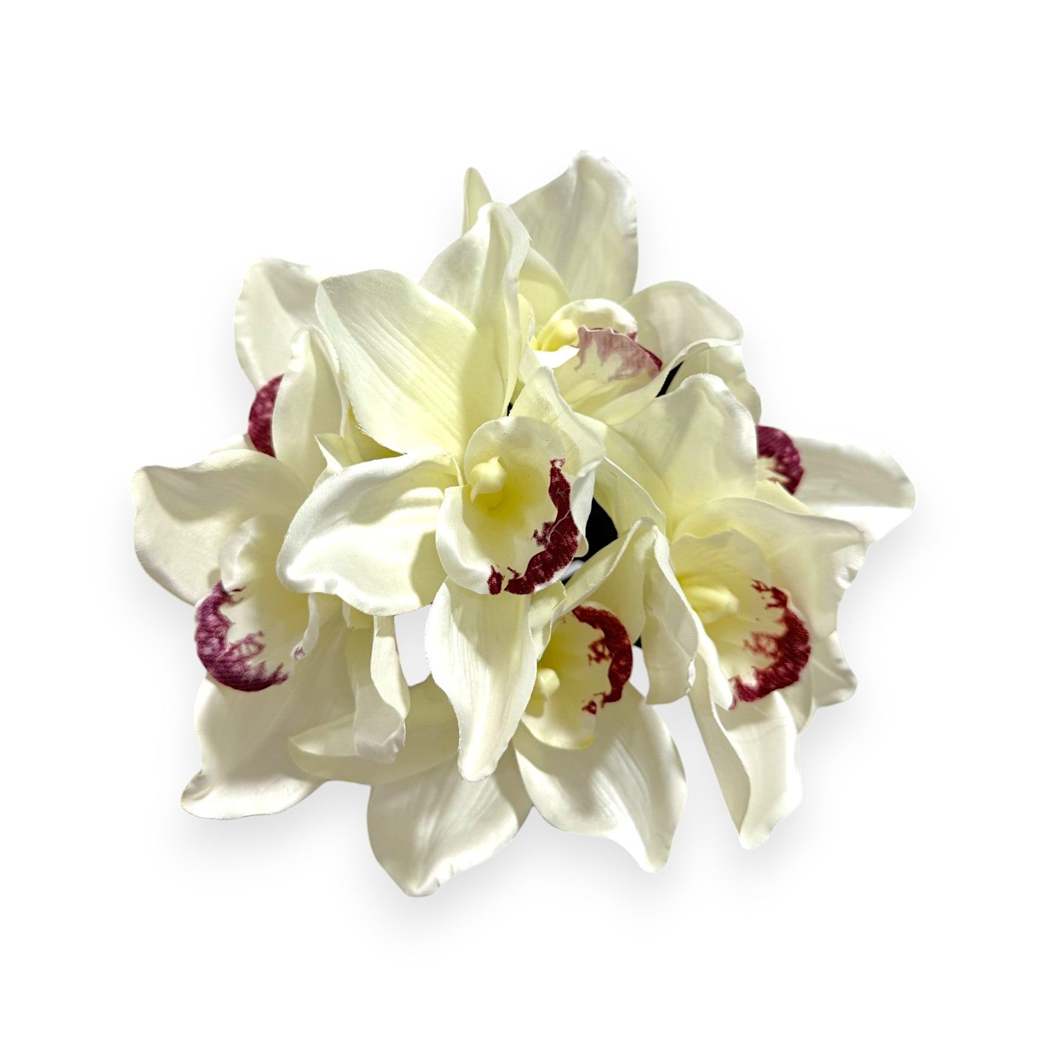 CYMBIDIUM BUSH X7