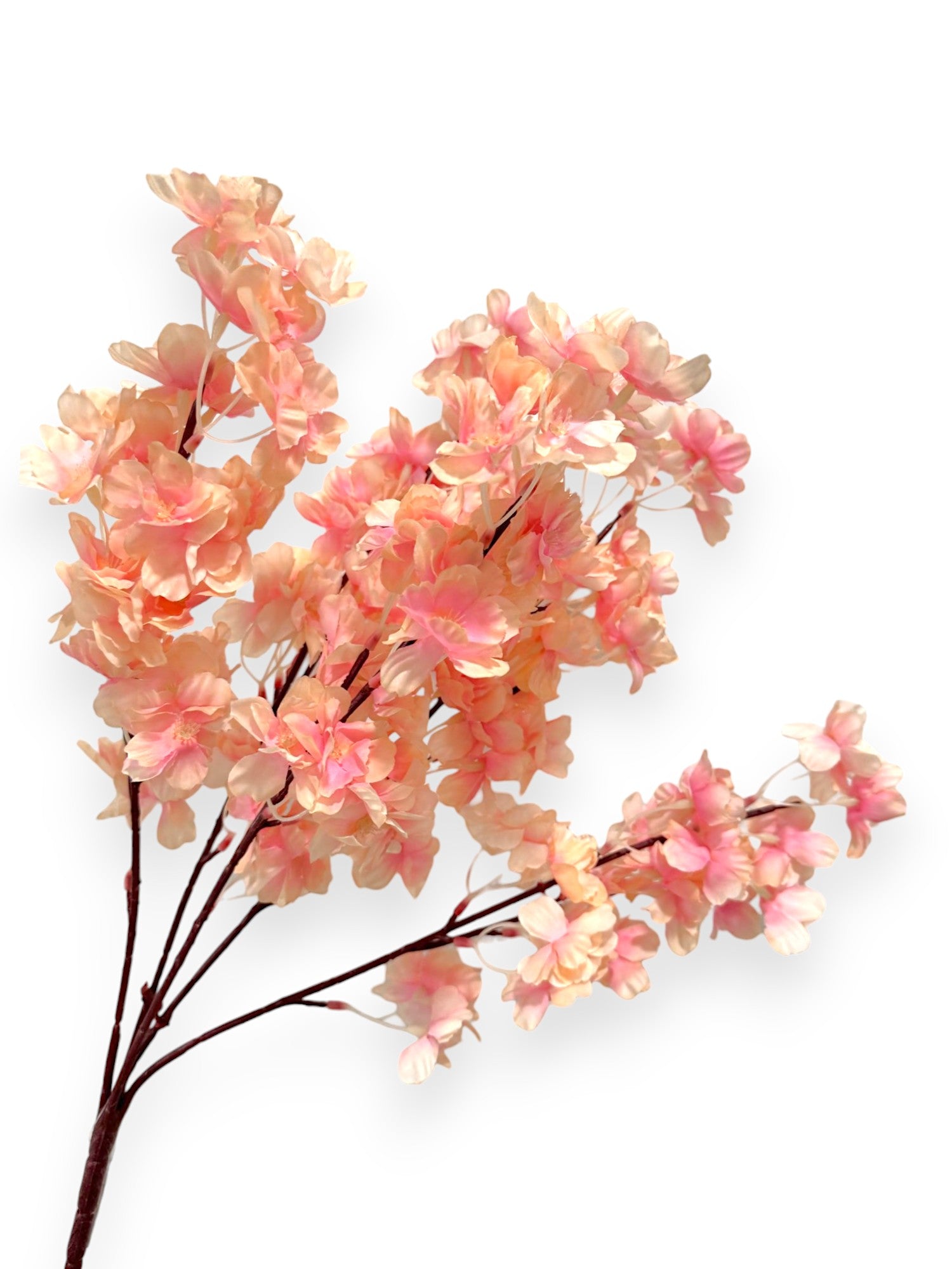 CHERRY BLOSSOM BUSH X5