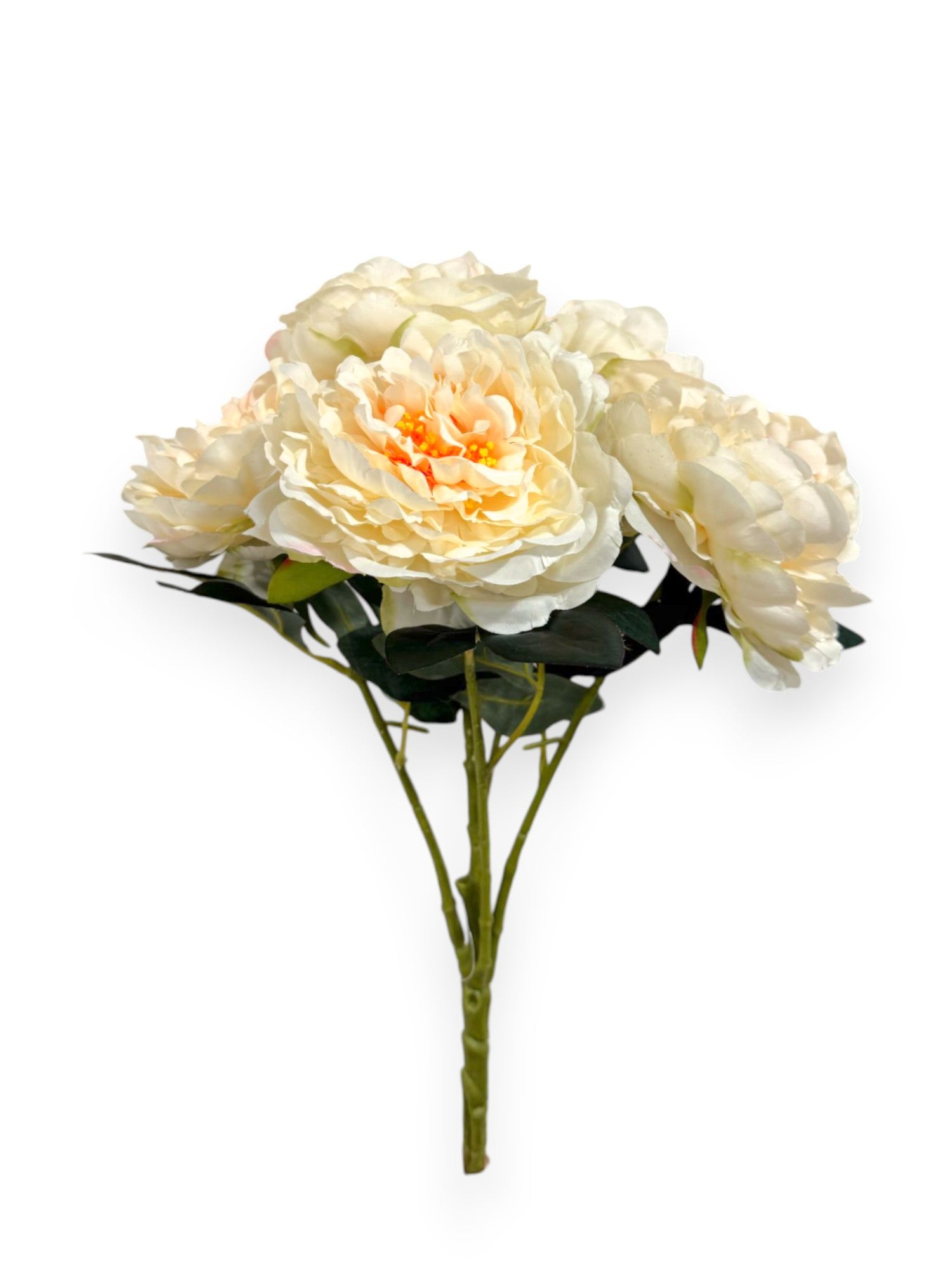 PEONY BUSHX5 18"