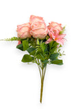 ROSE BUSH X7