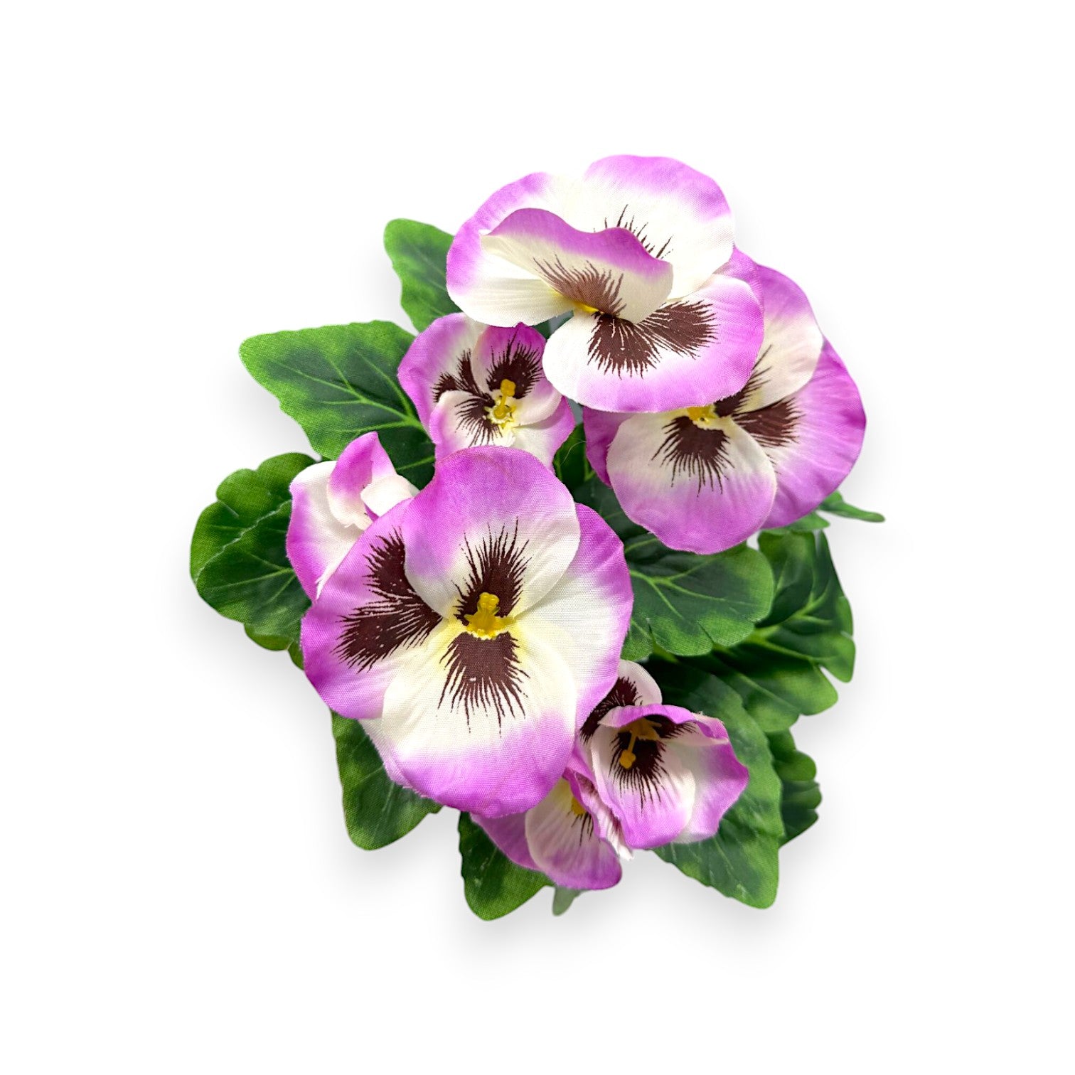 MINI PANSY BUSH 9"
