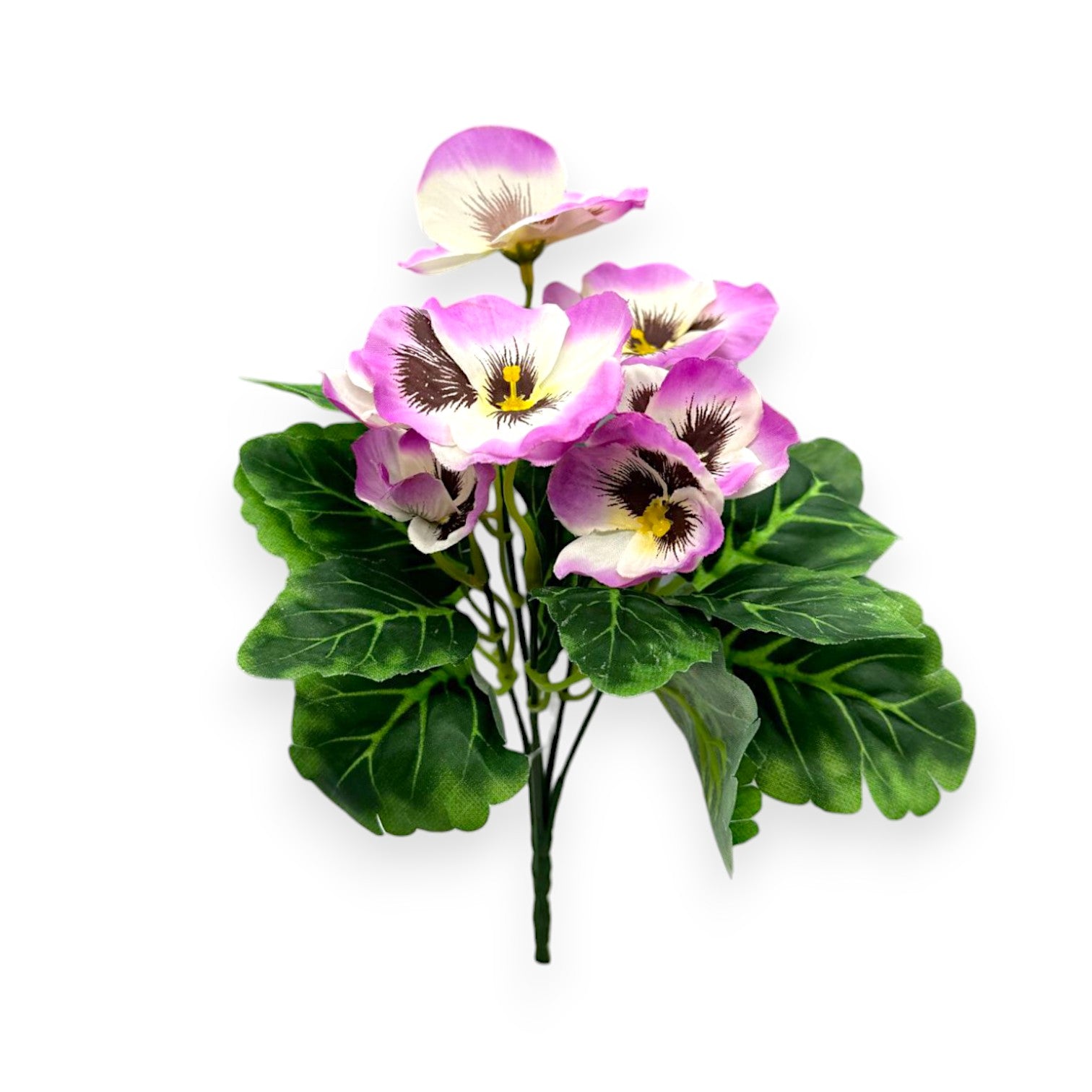 MINI PANSY BUSH 9"