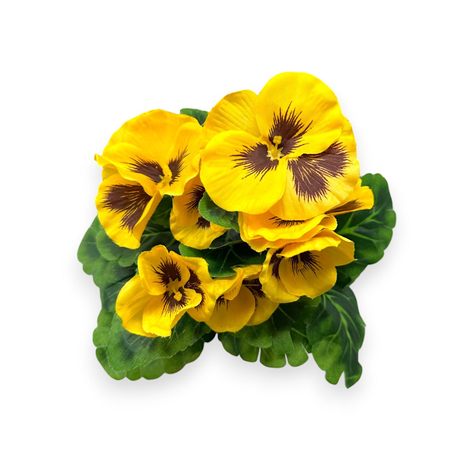 MINI PANSY BUSH 9"