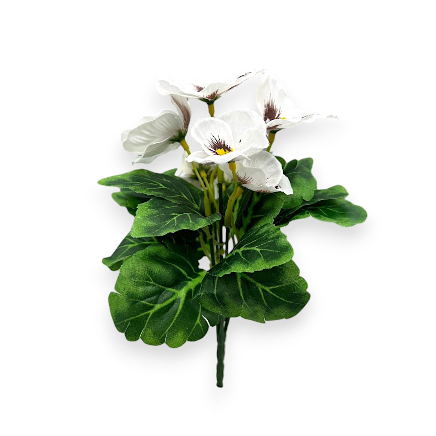 MINI PANSY BUSH 9"