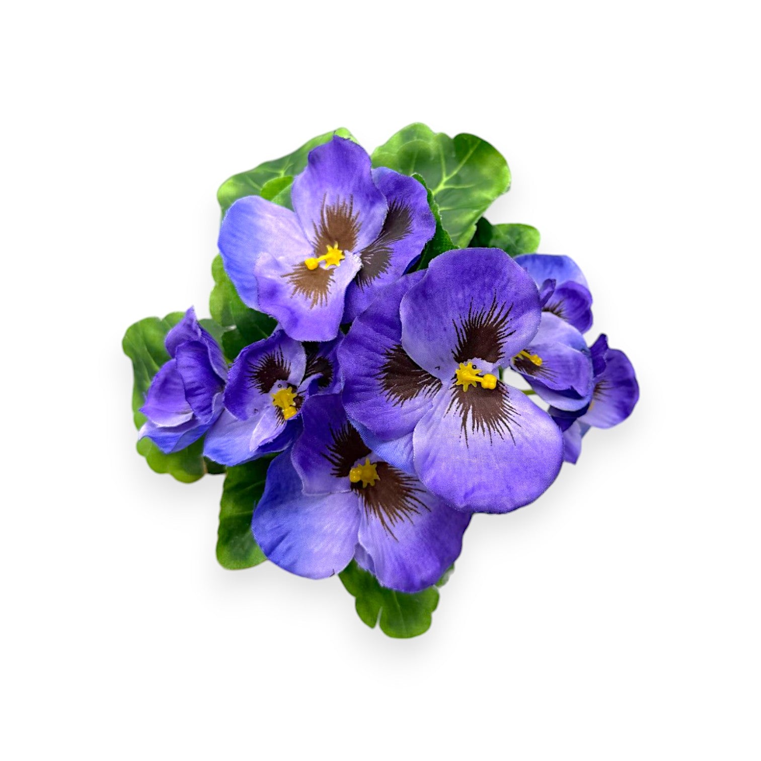 MINI PANSY BUSH 9"