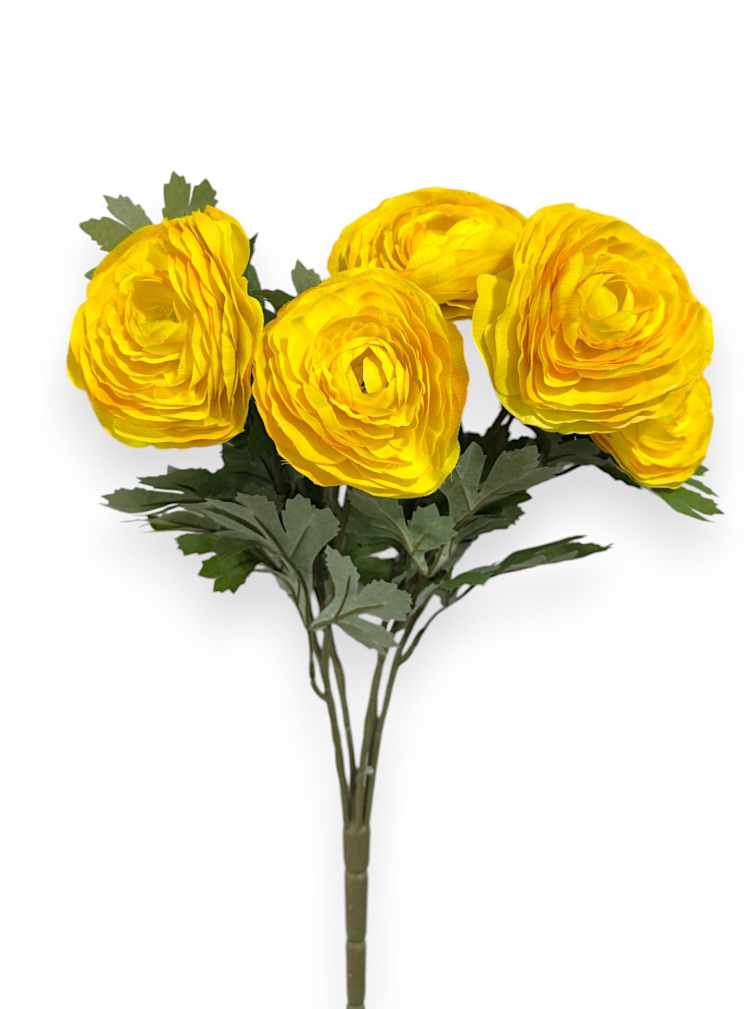 RANUNCULUS BUSH X7