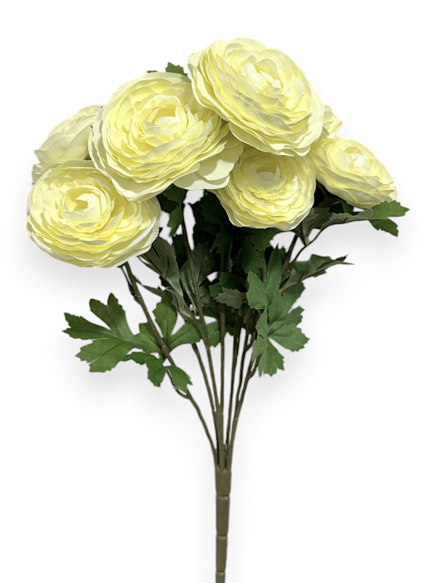 RANUNCULUS BUSH X7