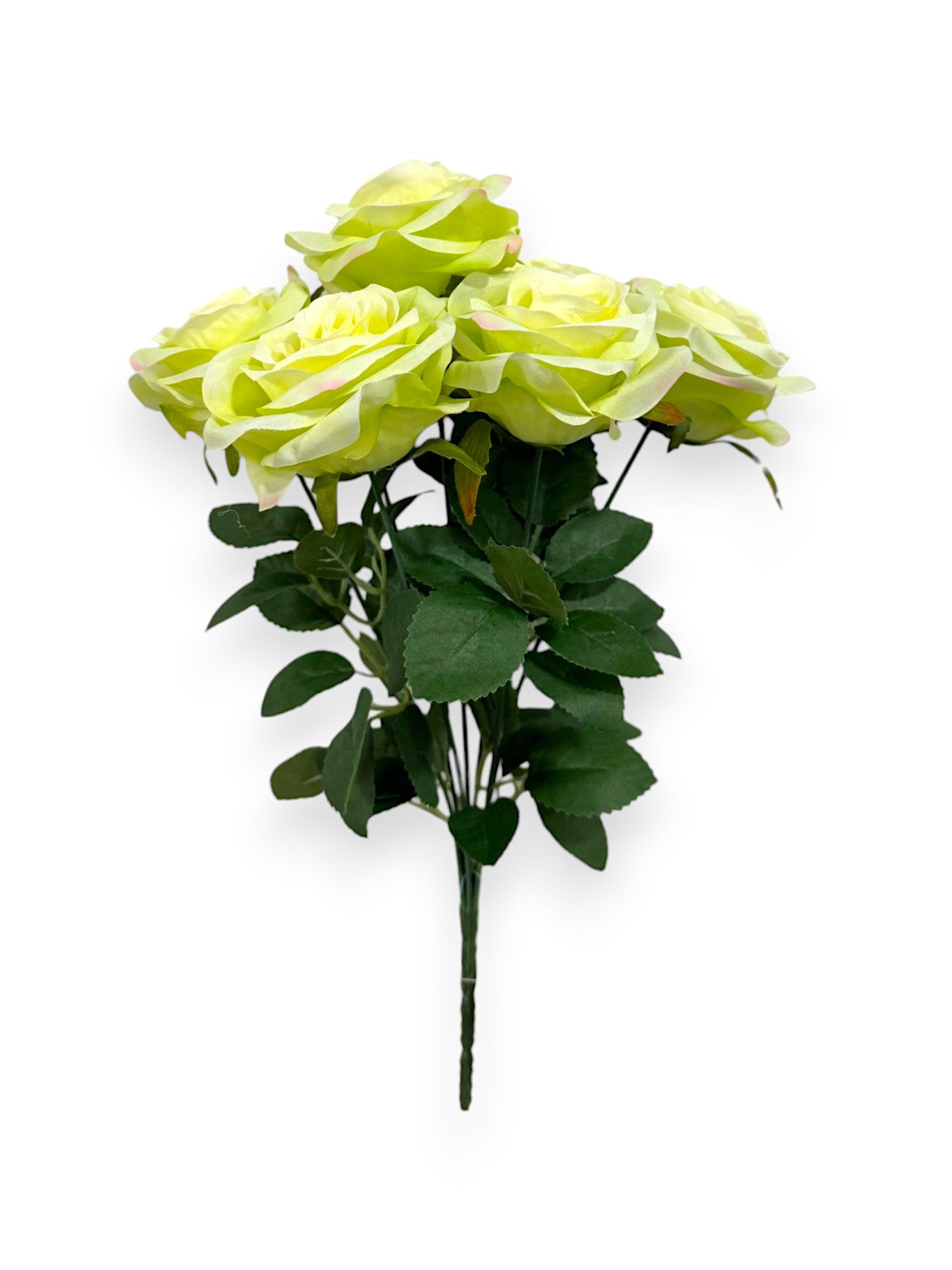 ROSE BUSH X7