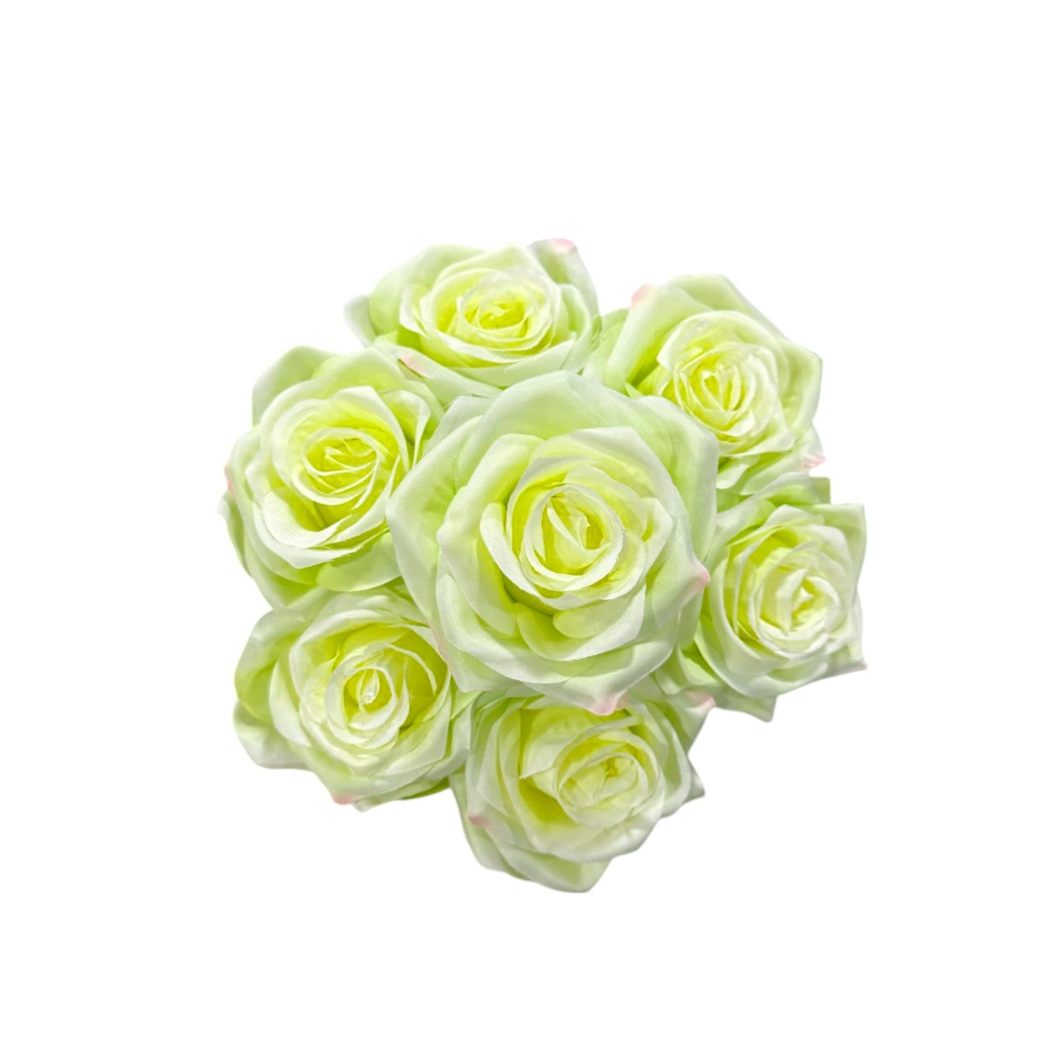 ROSE BUSH X7