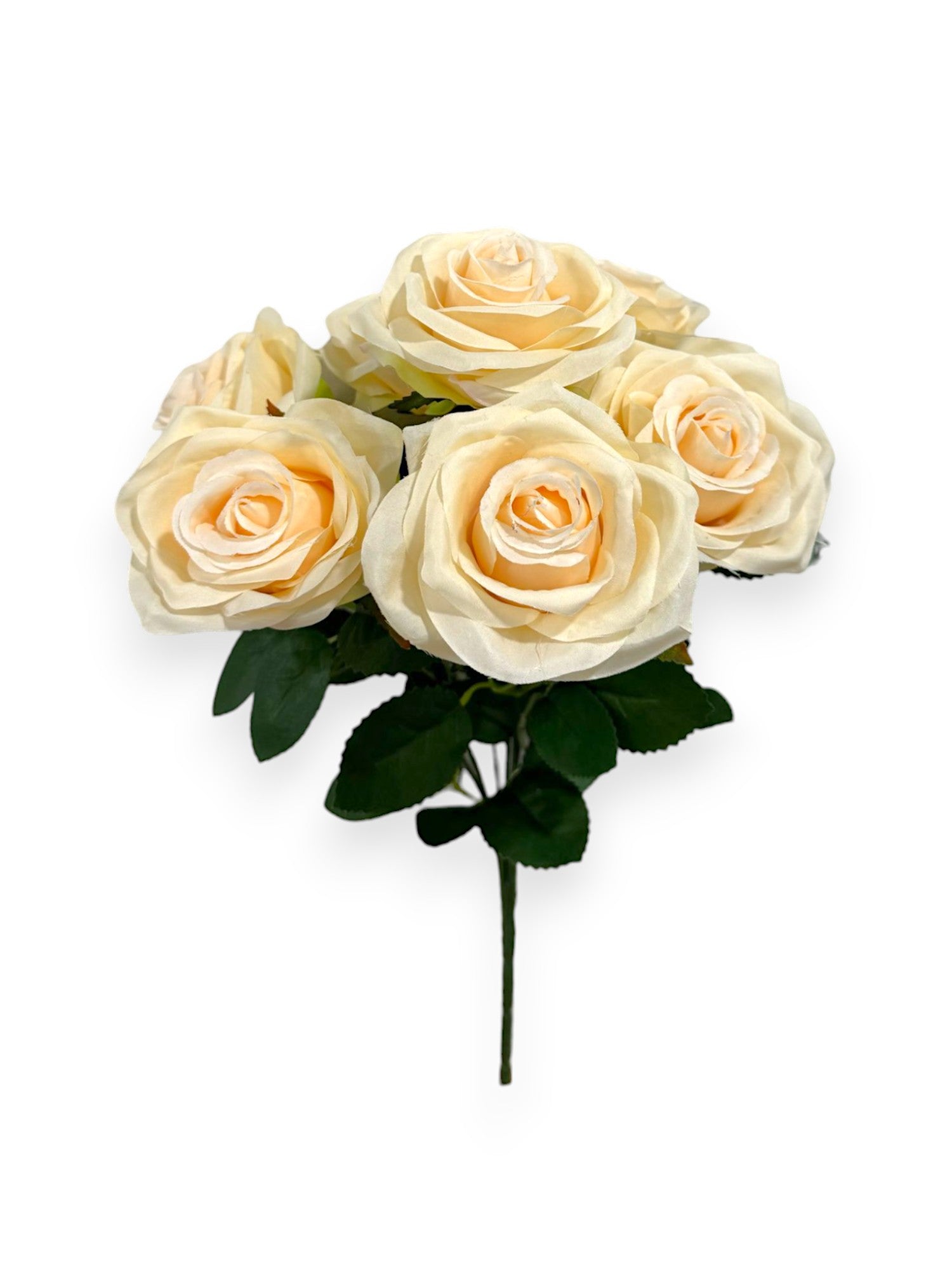 ROSE BUSH X7