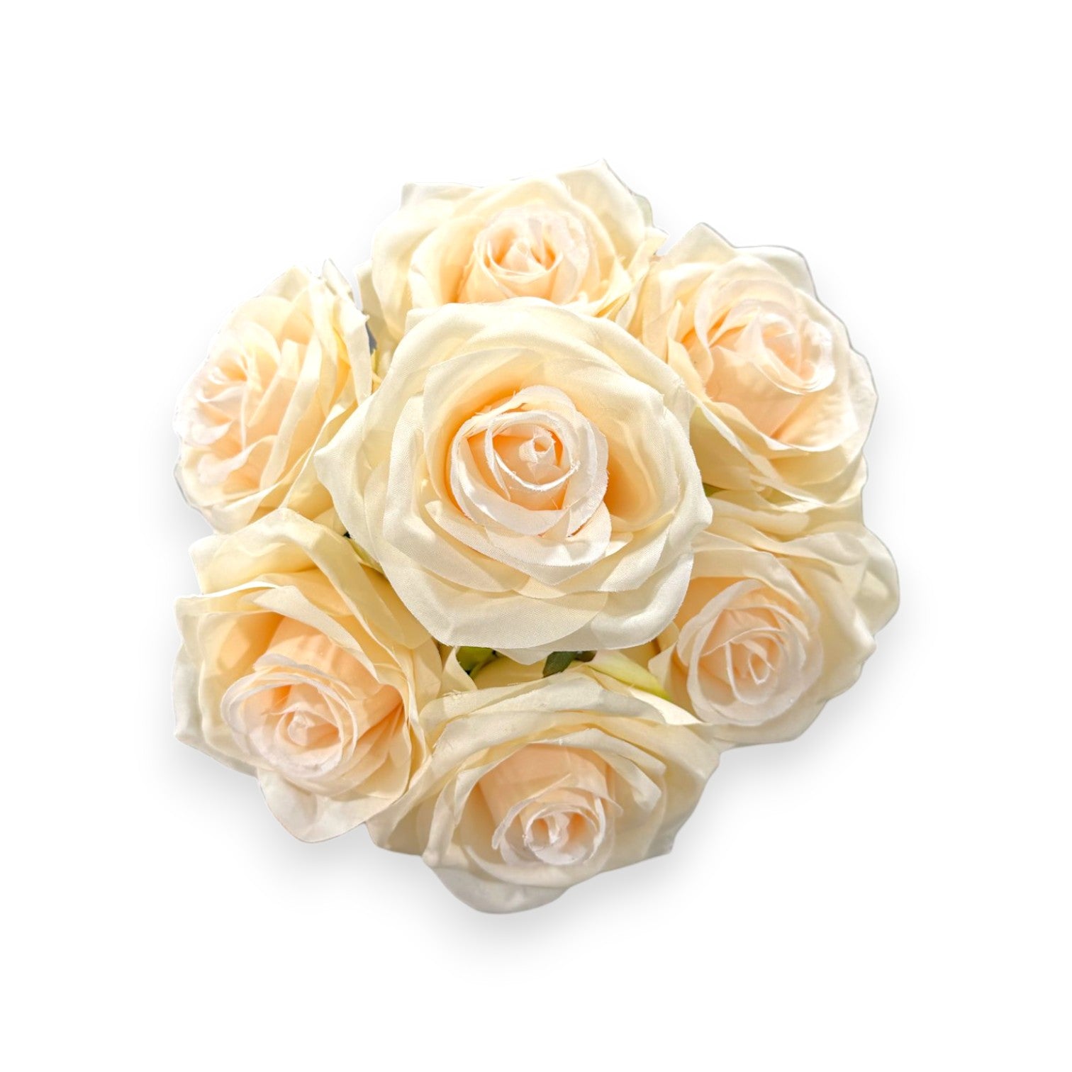 ROSE BUSH X7