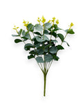 EUCALYPTUS BUSH X9