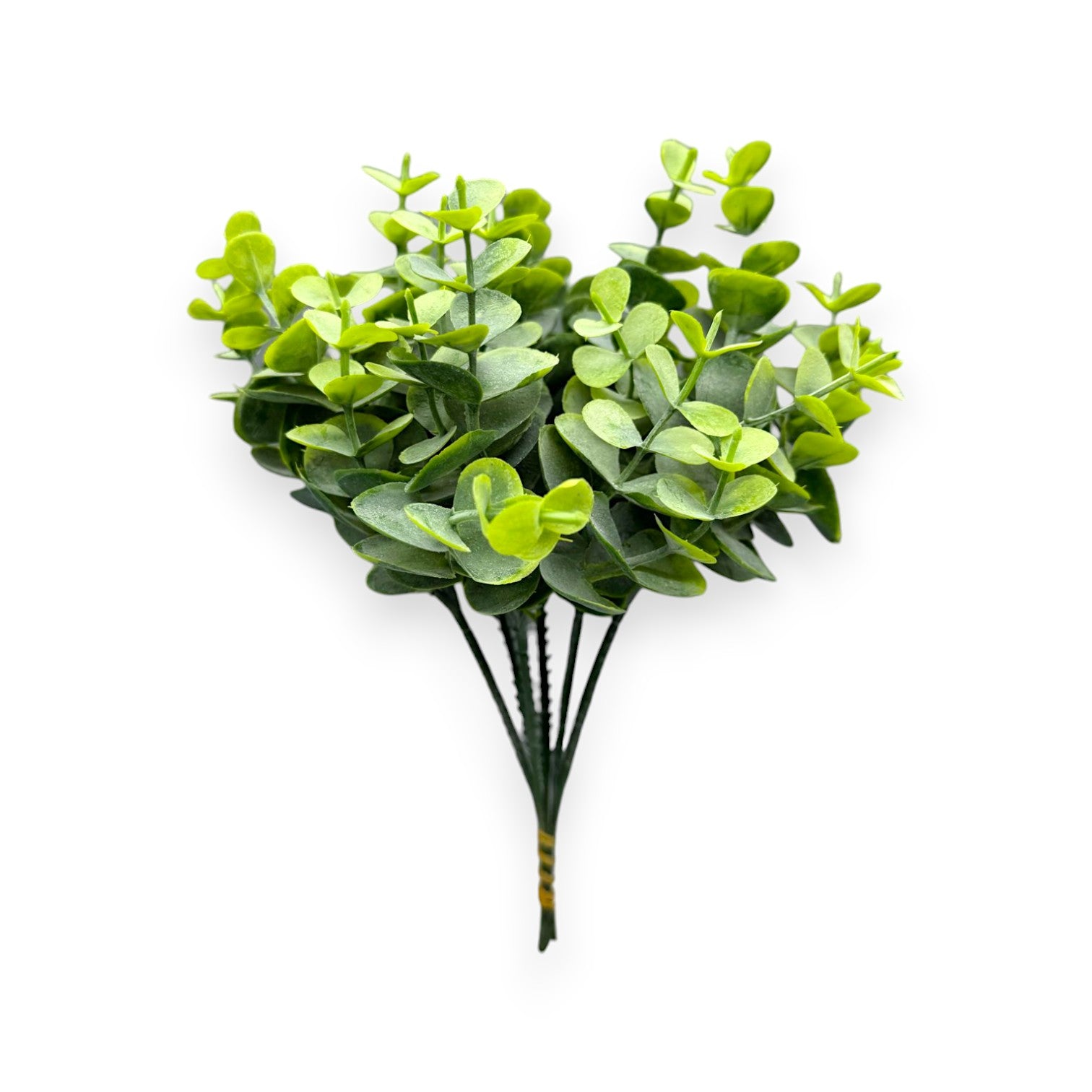 EUCALYPTUS BUSH X6