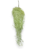 HANGING MOSS 25"