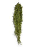 SPANISH MOSS 10PCS
