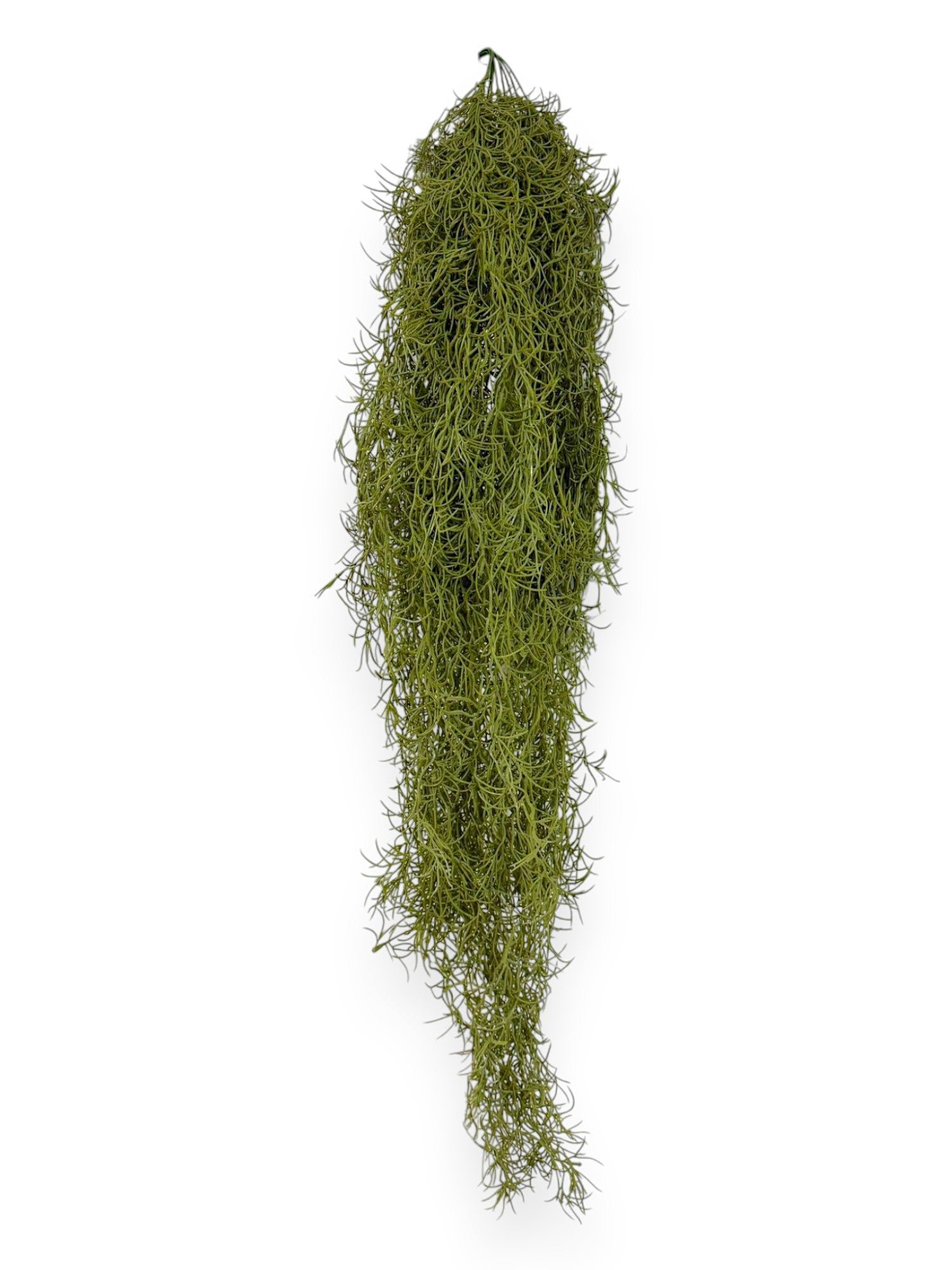 SPANISH MOSS 10PCS