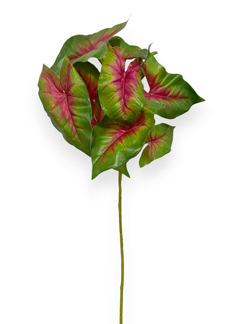 ALOCASIA STEM 18"