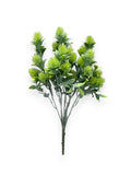 ERYNGO BUSH X7