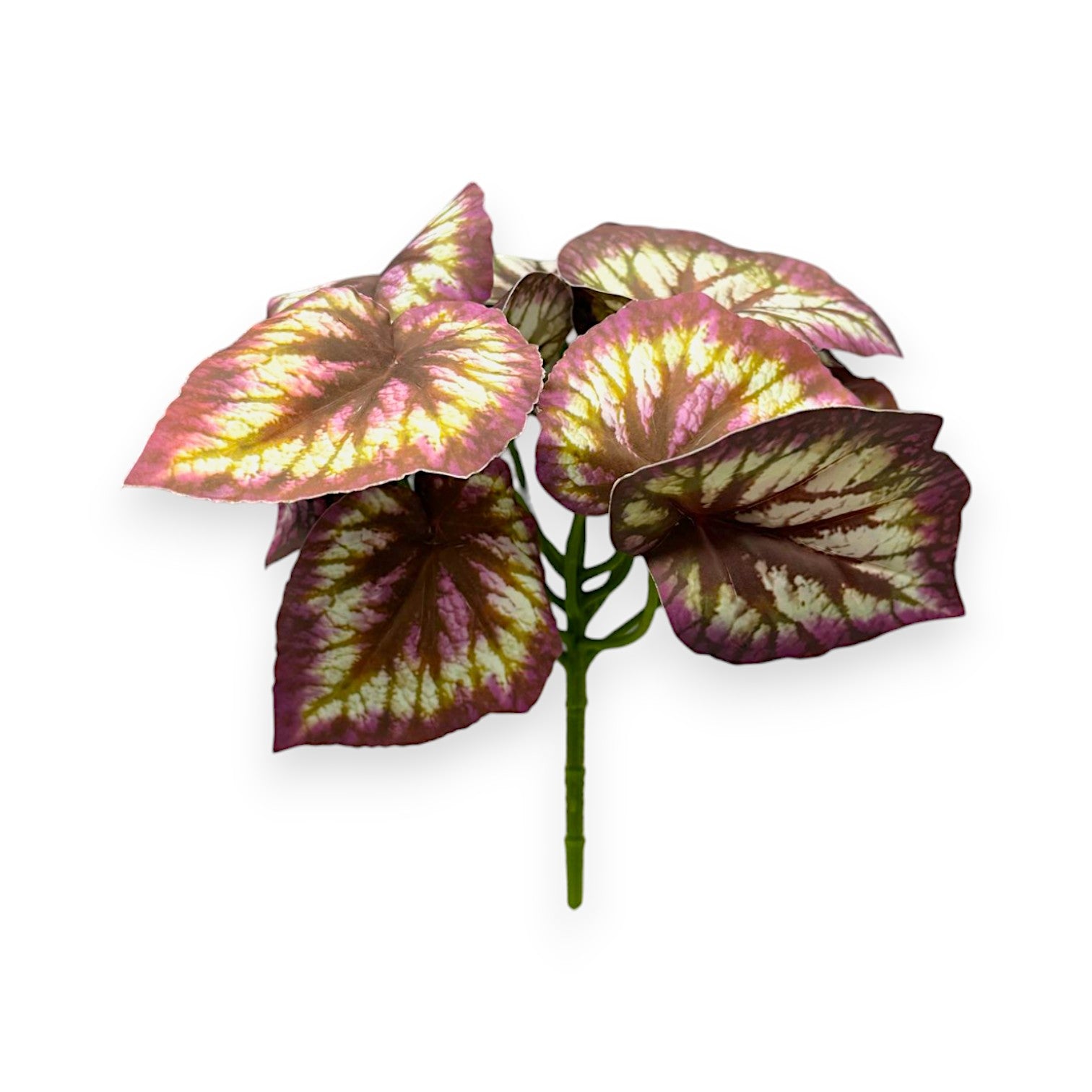 PURPLE BEGONIA BUSH 9"