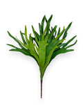 STAGHORN 25"