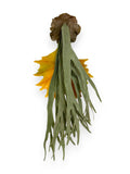 STAGHORN 30"