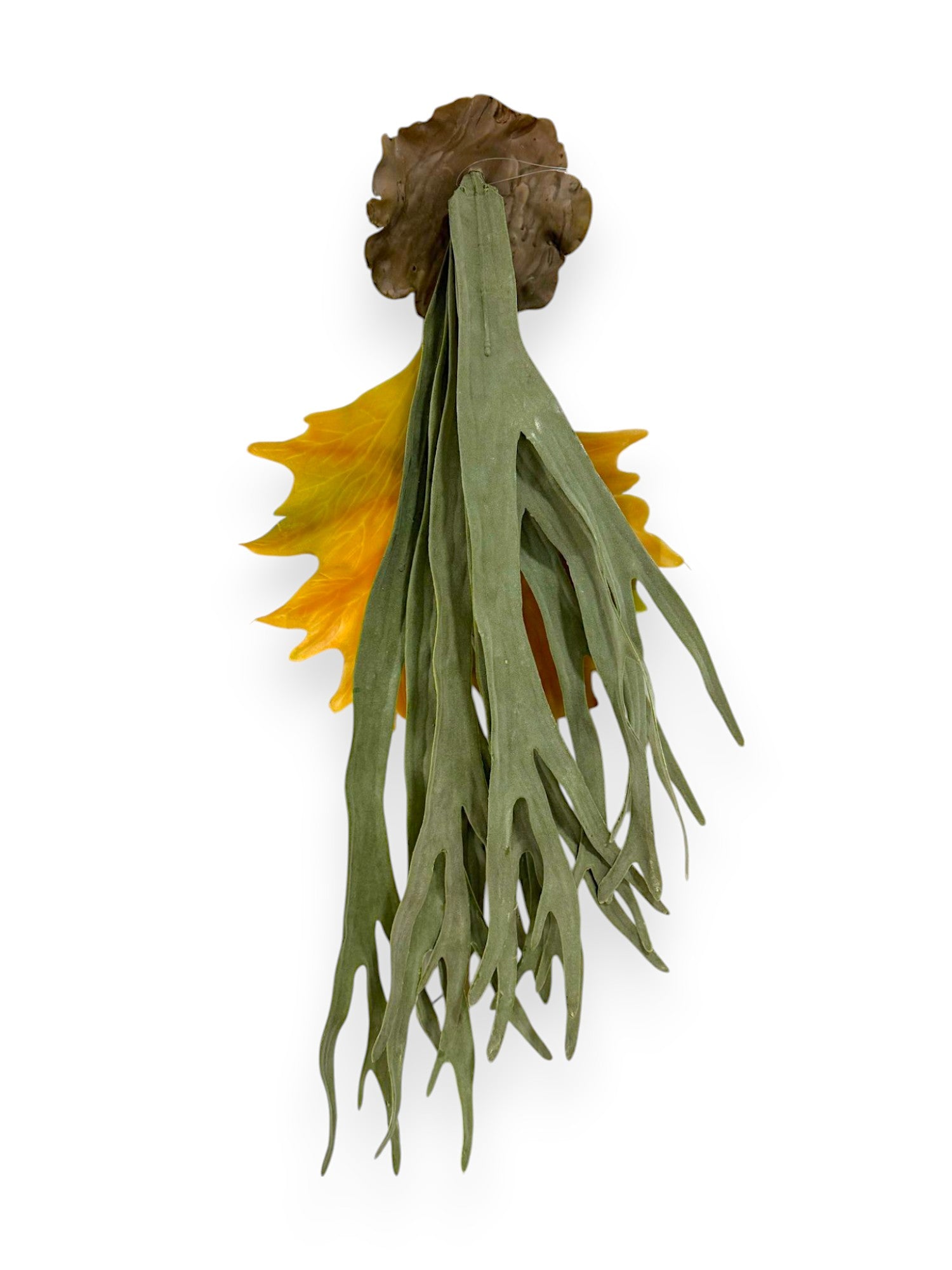 STAGHORN 30"