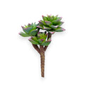 SUCCULENT PICK X3 7"