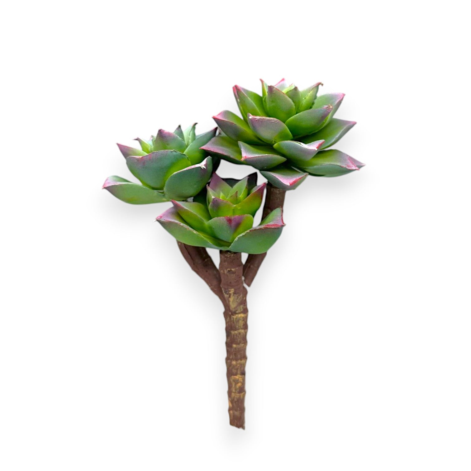 SUCCULENT PICK X3 7"