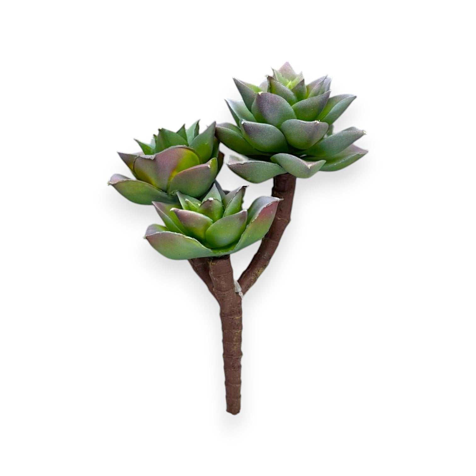 SUCCULENT PICK X3 7"