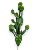 CACTUS SET/3 25"