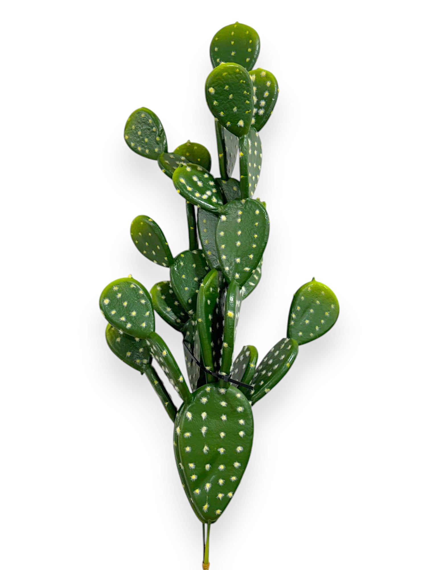 CACTUS SET/3 25"