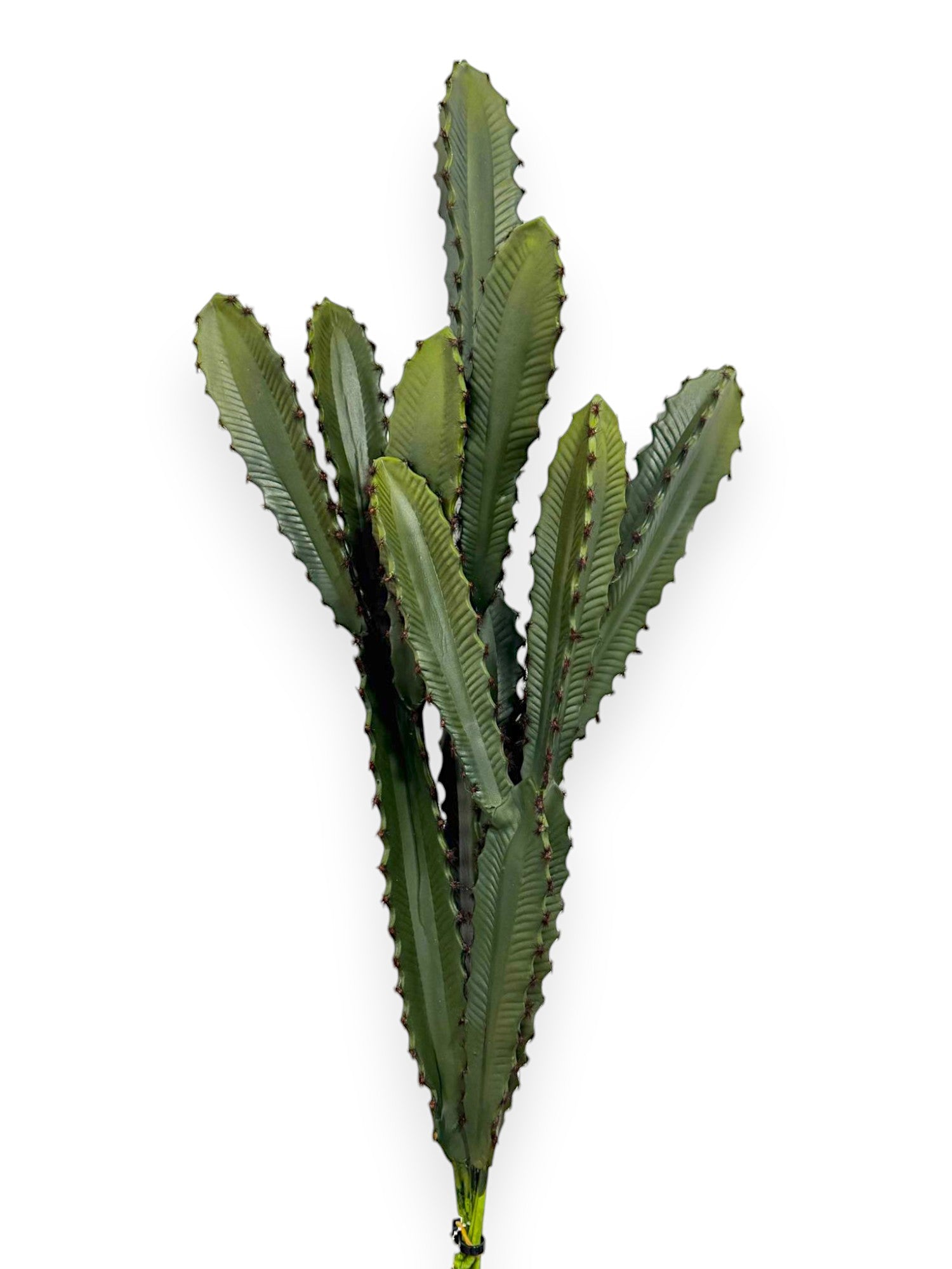 CACTUS SET/3 26"