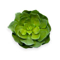 SUCCULENT PICK 7"