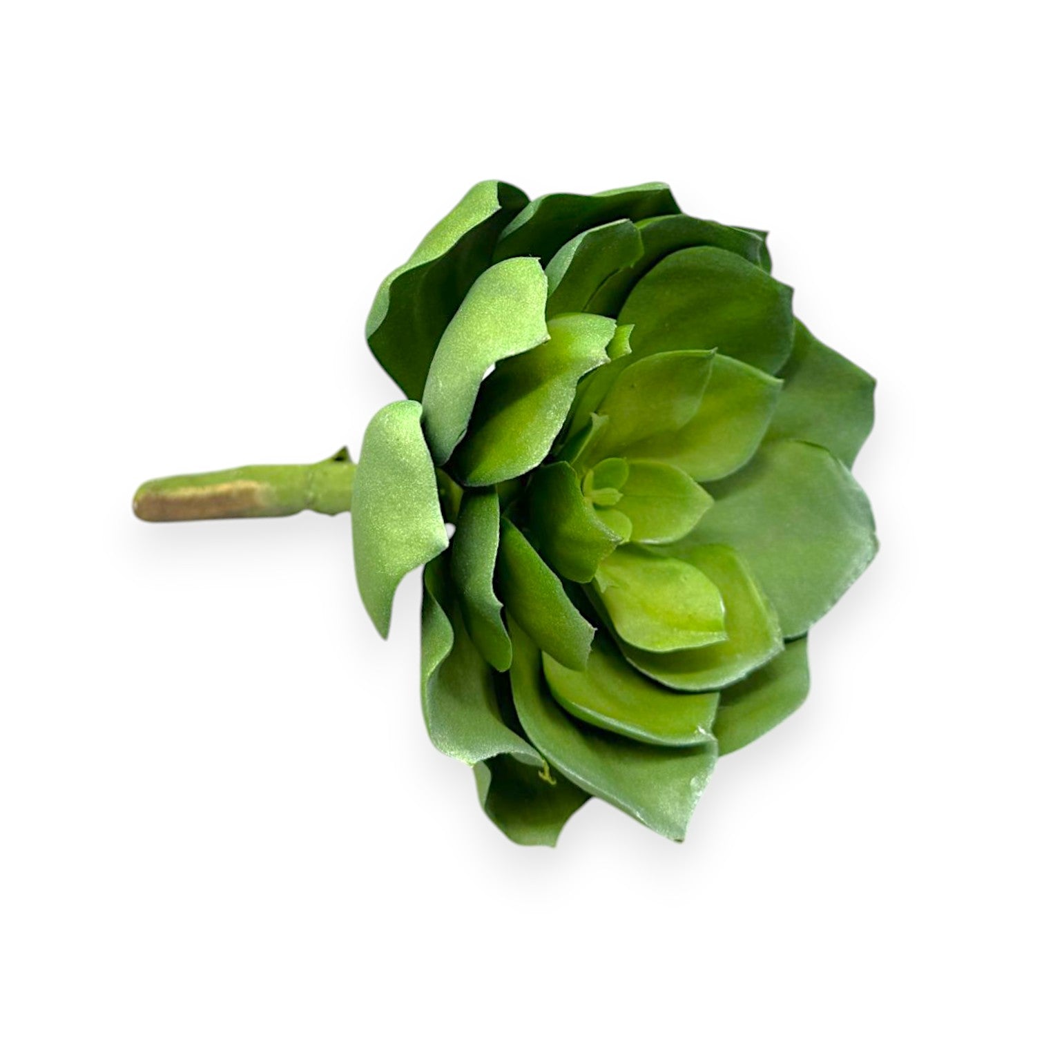 SUCCULENT PICK 7"
