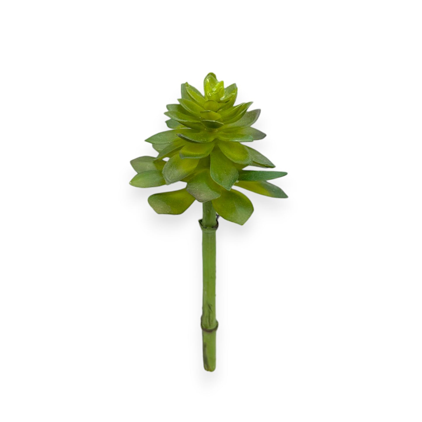SUCCULENT PICK 7"X3"