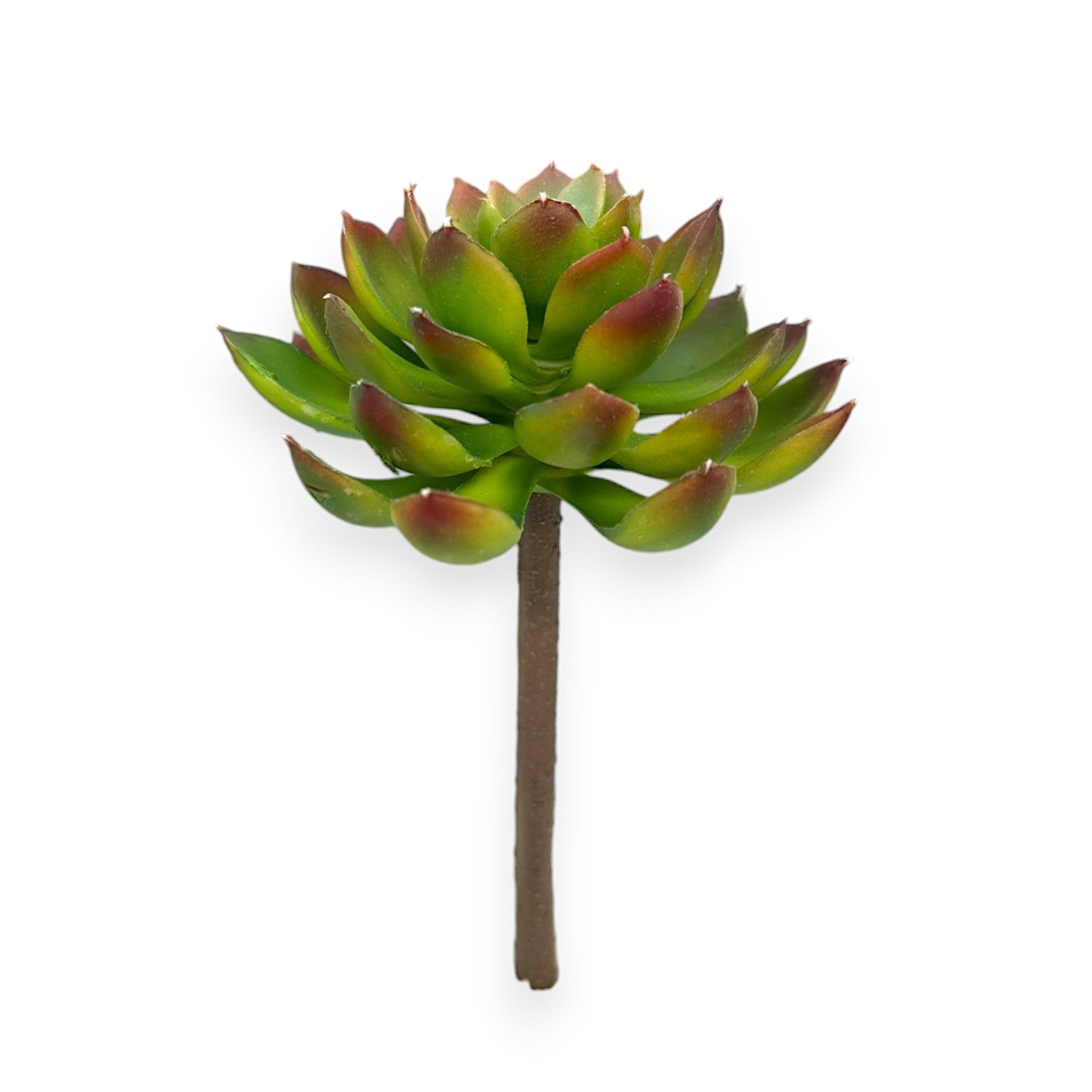 SUCCULENT PICK 7" x 4"