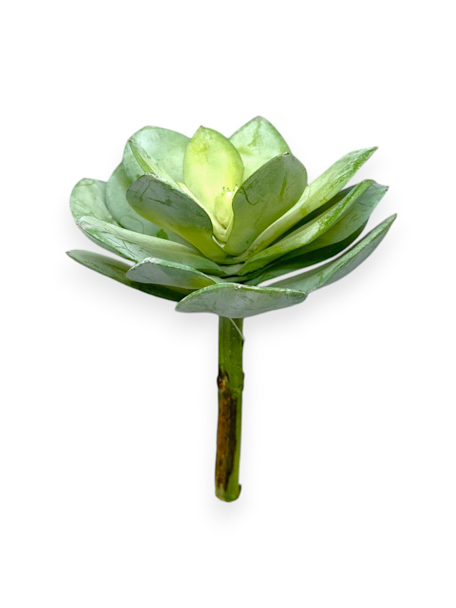 SUCCULENT PICK 8" X5"