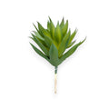 AGAVE PICK 6"