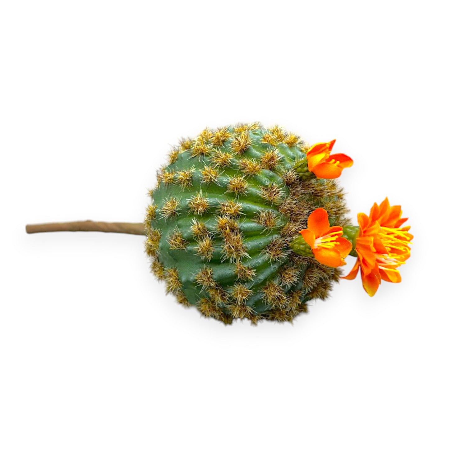 CACTUS PICK 9"