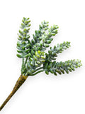 SUCCULENT PICK 8.5"